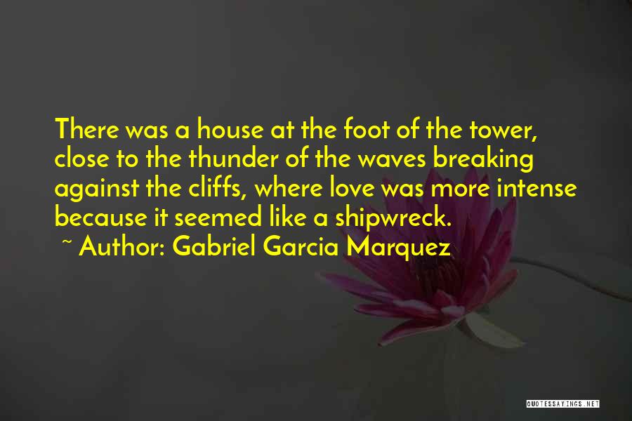 Love In The Time Of Cholera Quotes By Gabriel Garcia Marquez