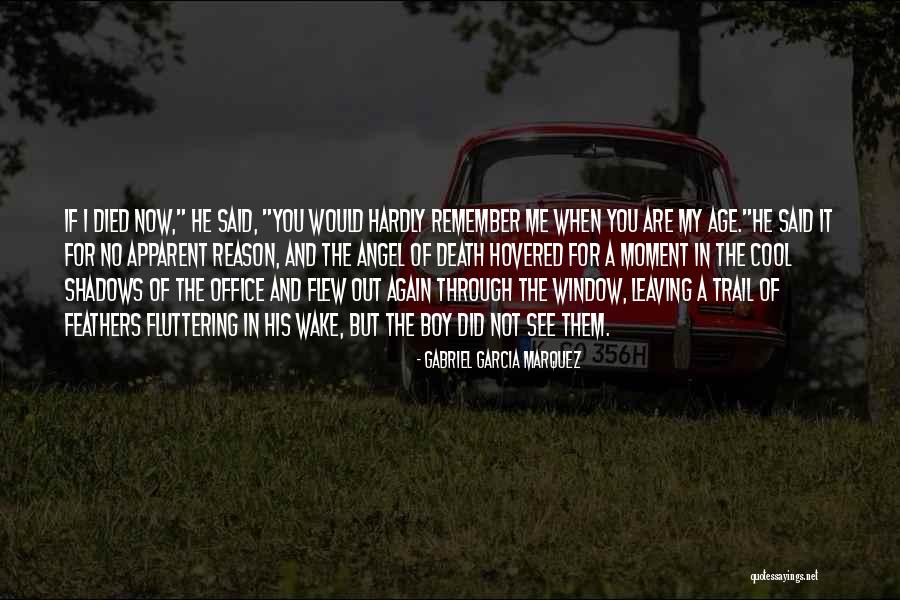 Love In The Time Of Cholera Quotes By Gabriel Garcia Marquez Love In The Time Of Cholera Quotes By Gabriel Garcia Marquez