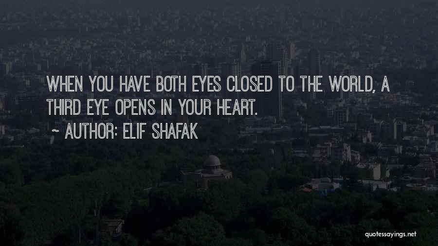 Love In Your Eyes Quotes By Elif Shafak