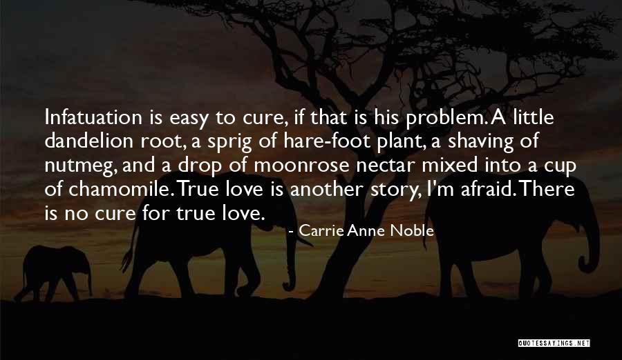 Love Infatuation Quotes By Carrie Anne Noble Love Infatuation Quotes By Carrie Anne Noble