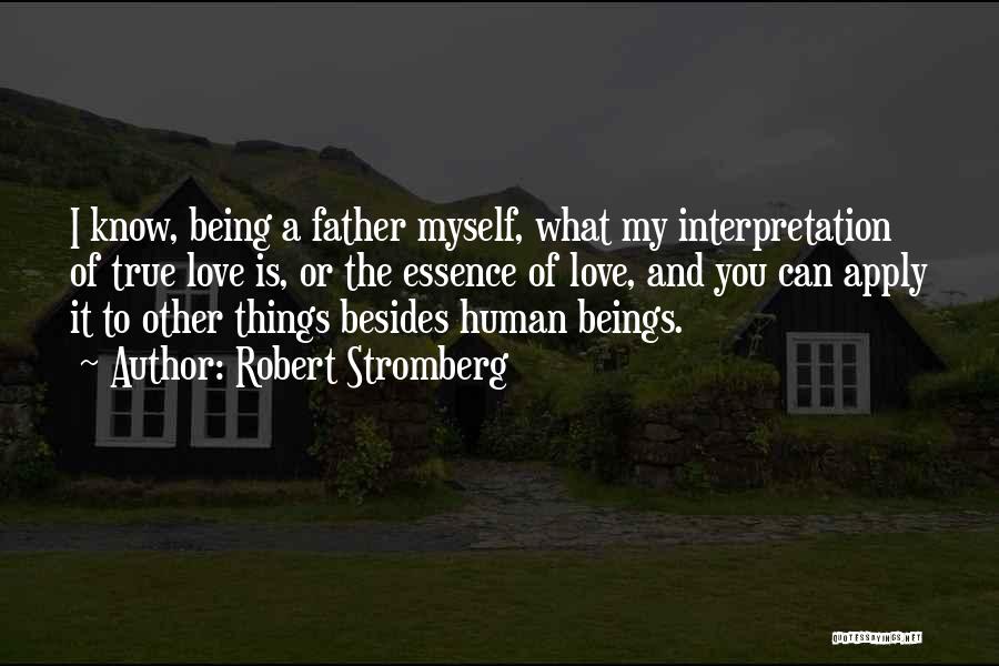 Love Interpretation Quotes By Robert Stromberg