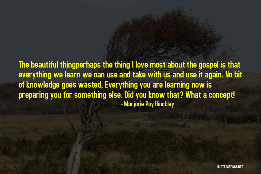 Love Is A Beautiful Thing Quotes By Marjorie Pay Hinckley Love Is A Beautiful Thing Quotes By Marjorie Pay Hinckley