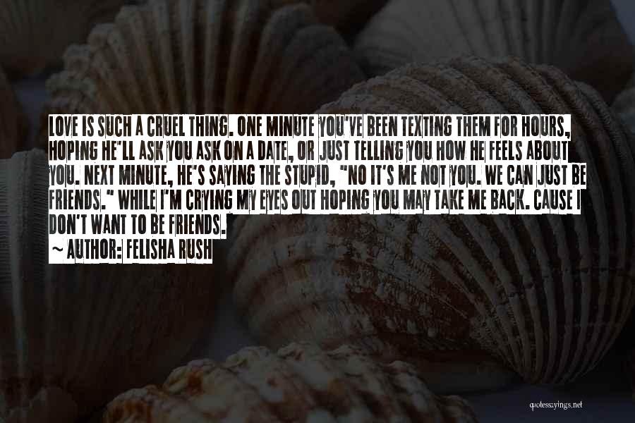 Love Is A Stupid Thing Quotes By Felisha Rush