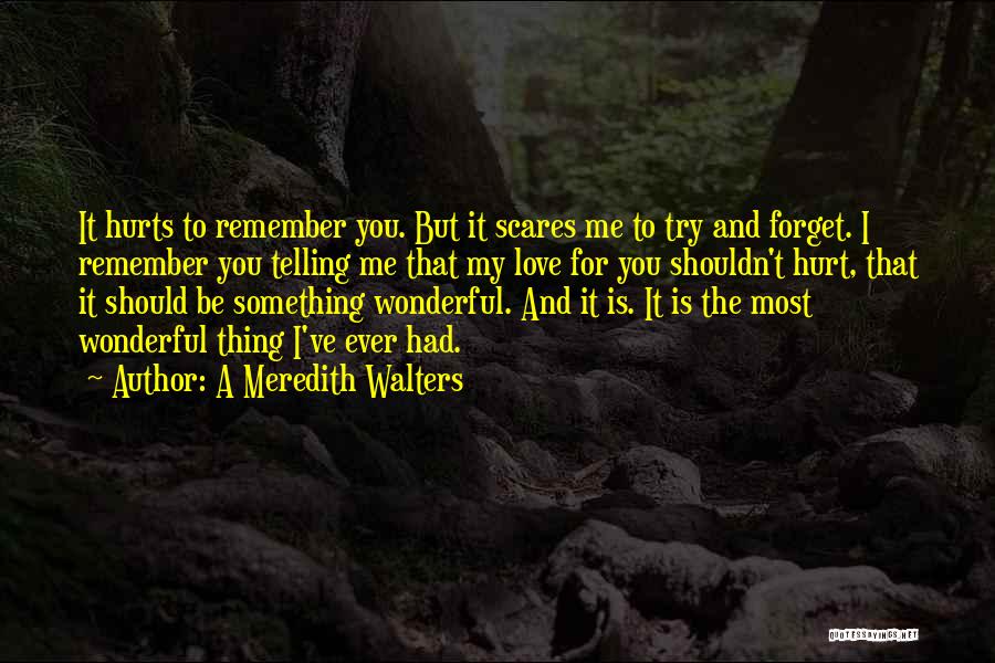 Love Is A Wonderful Thing Quotes By A Meredith Walters