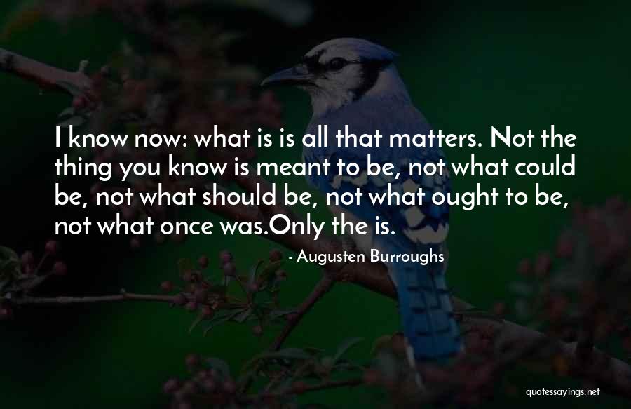 Love Is All That Matters Quotes By Augusten Burroughs