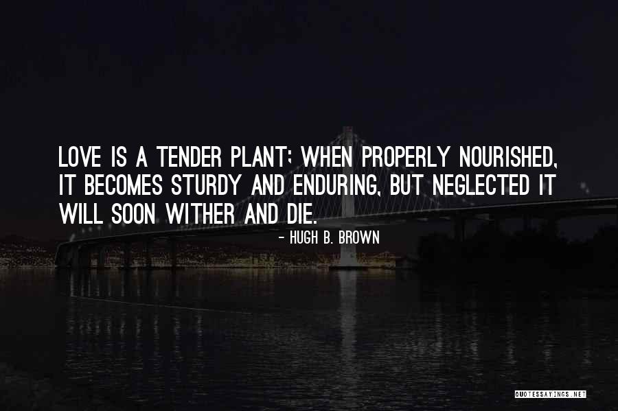 Love Is Enduring Quotes By Hugh B. Brown Love Is Enduring Quotes By Hugh B. Brown