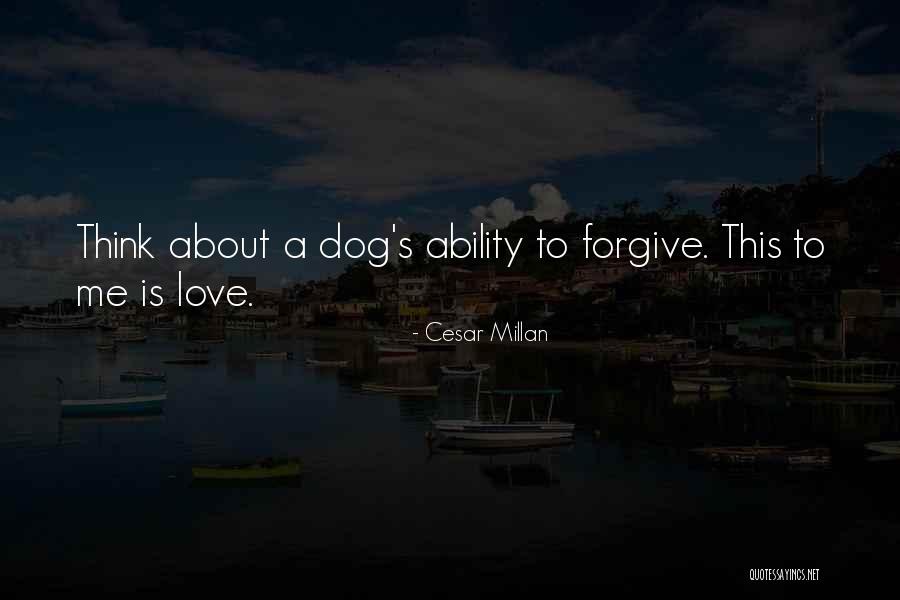 Love Is Forgiving Quotes By Cesar Millan Love Is Forgiving Quotes By Cesar Millan