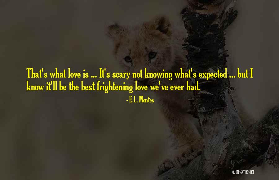 Love Is Frightening Quotes By E.L. Montes