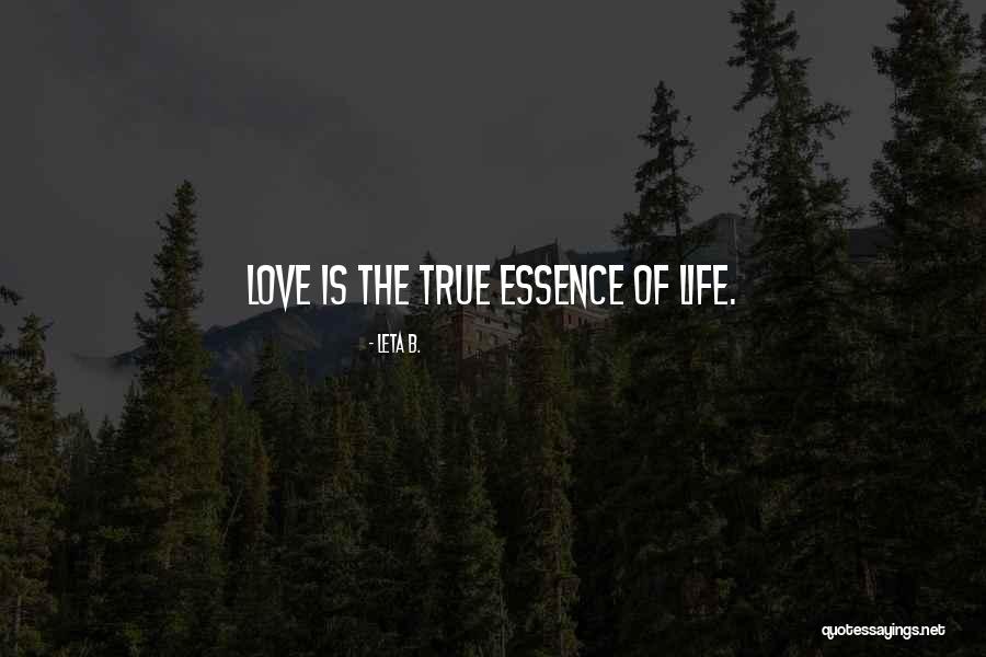 Love Is Incompleteness Quotes By Leta B. Love Is Incompleteness Quotes By Leta B.