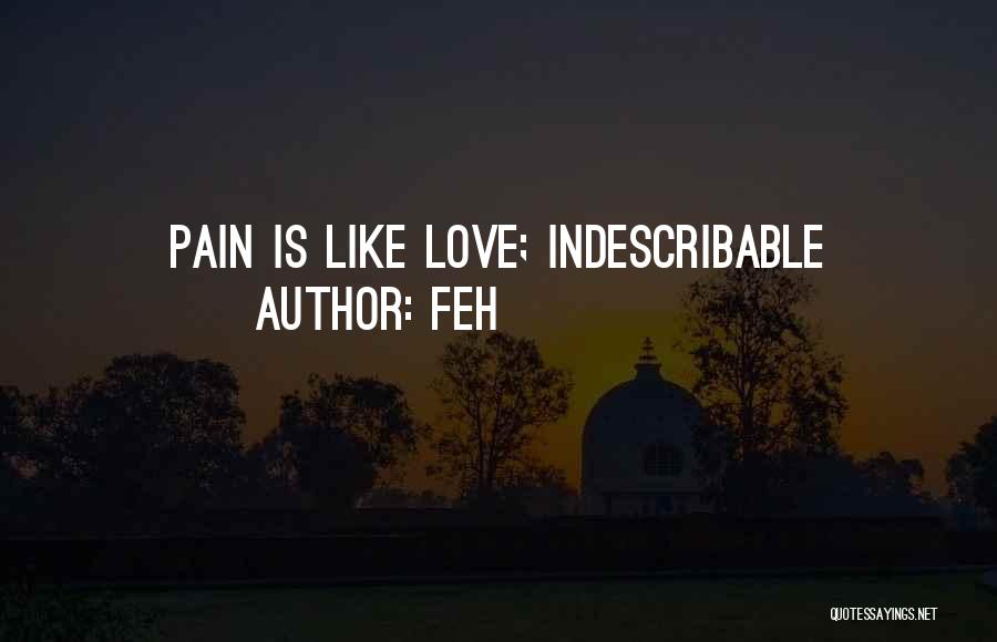 Love Is Indescribable Quotes By FEH