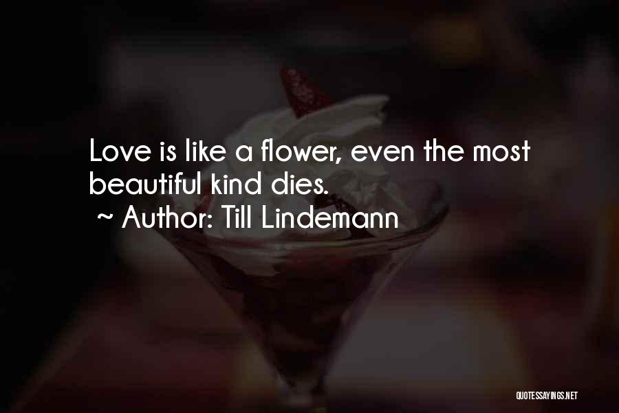 Love Is Kind Quotes By Till Lindemann