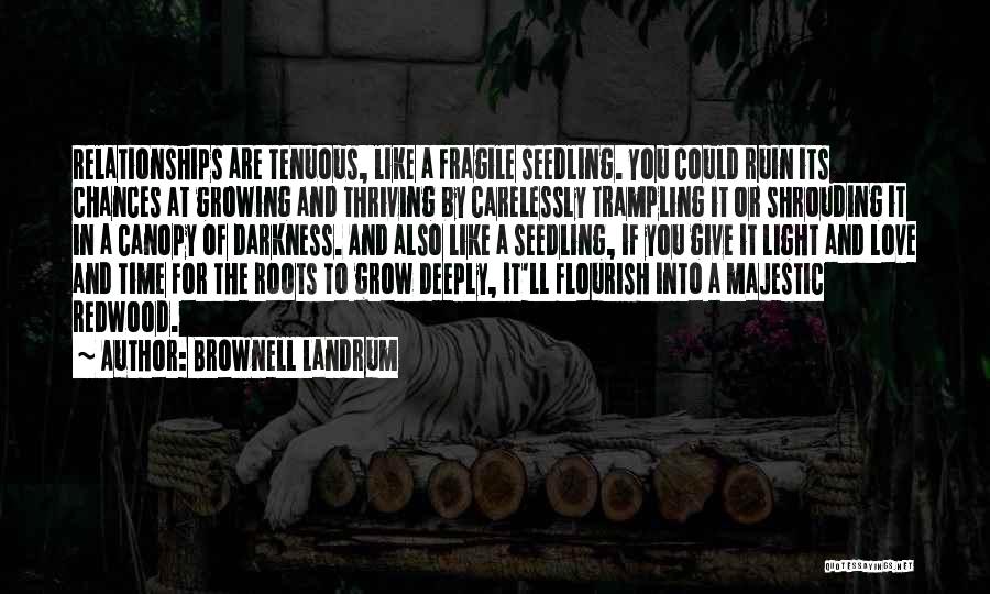 Love Is Like A Seed Quotes By Brownell Landrum