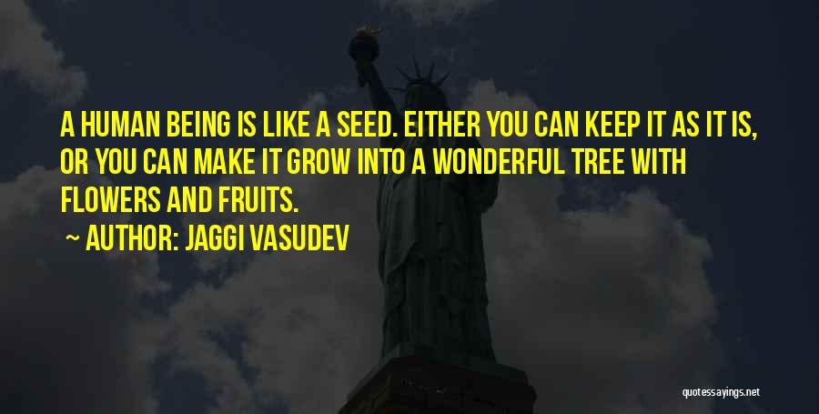 Love Is Like A Seed Quotes By Jaggi Vasudev