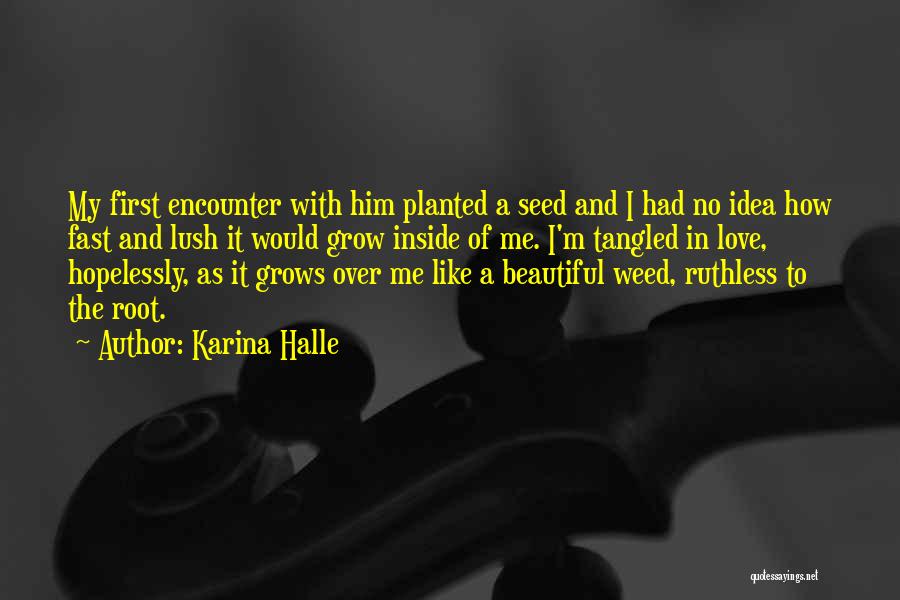 Love Is Like A Seed Quotes By Karina Halle