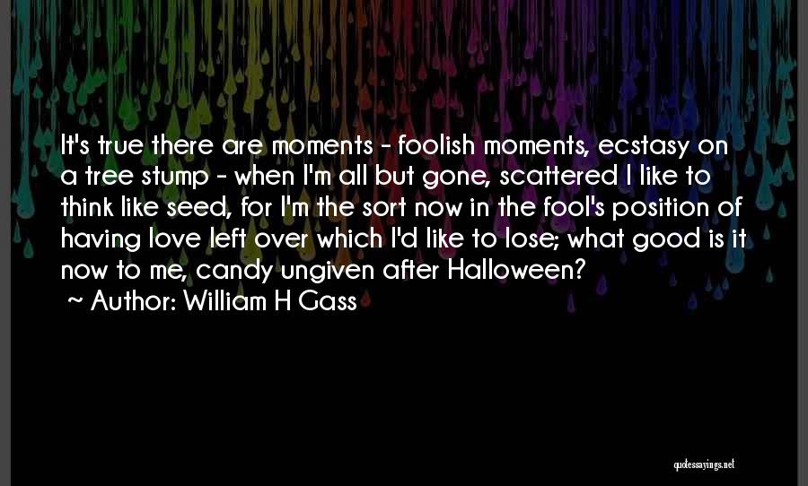 Love Is Like A Seed Quotes By William H Gass