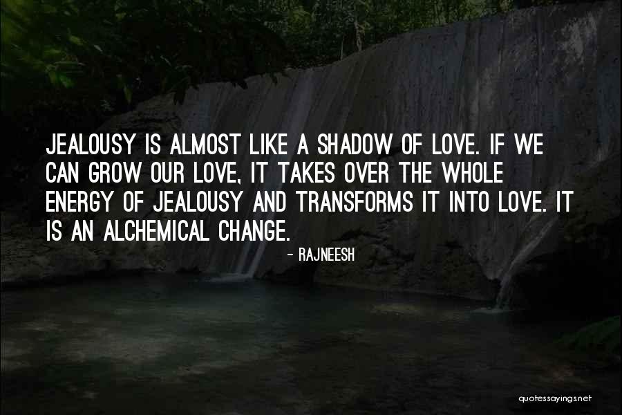 Love Is Like A Shadow Quotes By Rajneesh