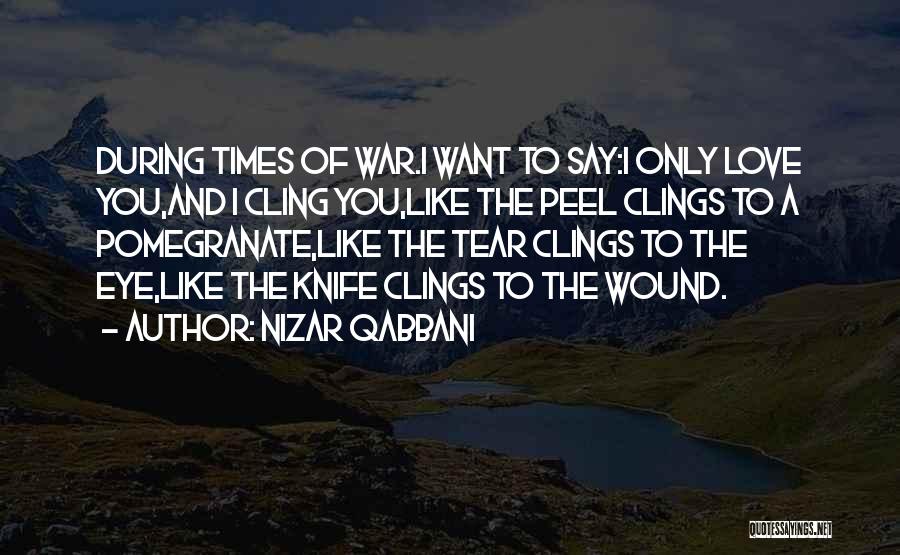 Love Is Like A Wound Quotes By Nizar Qabbani