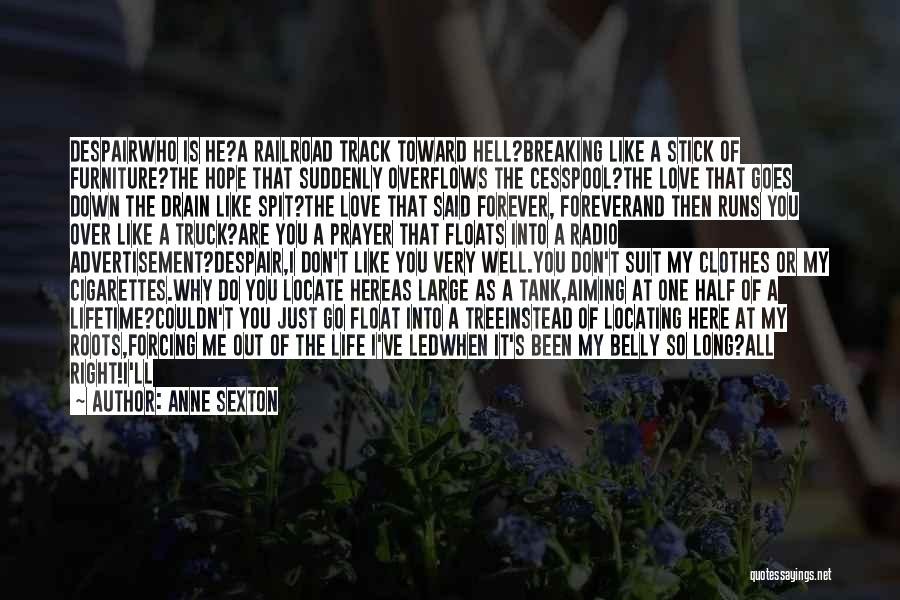 Love Is Like Hell Quotes By Anne Sexton