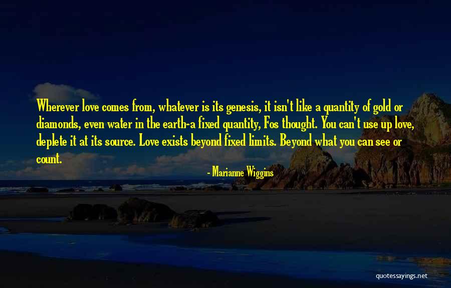 Love Is Like Water Quotes By Marianne Wiggins