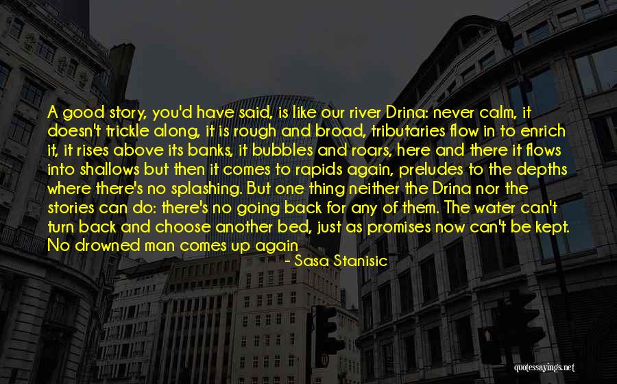 Love Is Like Water Quotes By Sasa Stanisic Love Is Like Water Quotes By Sasa Stanisic