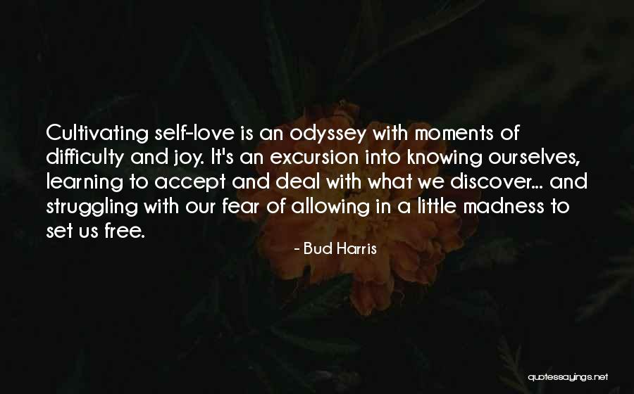 Love Is Madness Quotes By Bud Harris Love Is Madness Quotes By Bud Harris