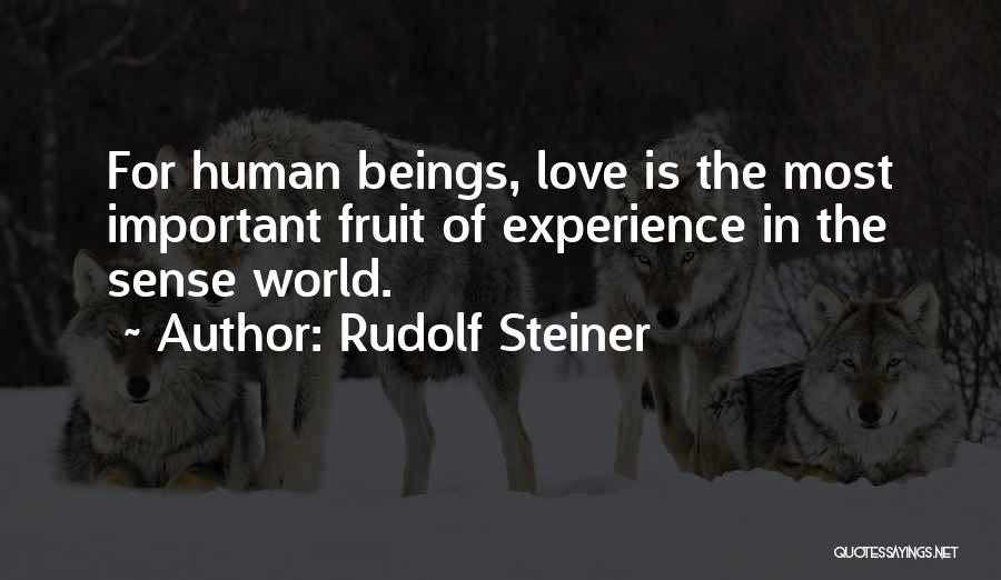 Love Is Most Important Quotes By Rudolf Steiner