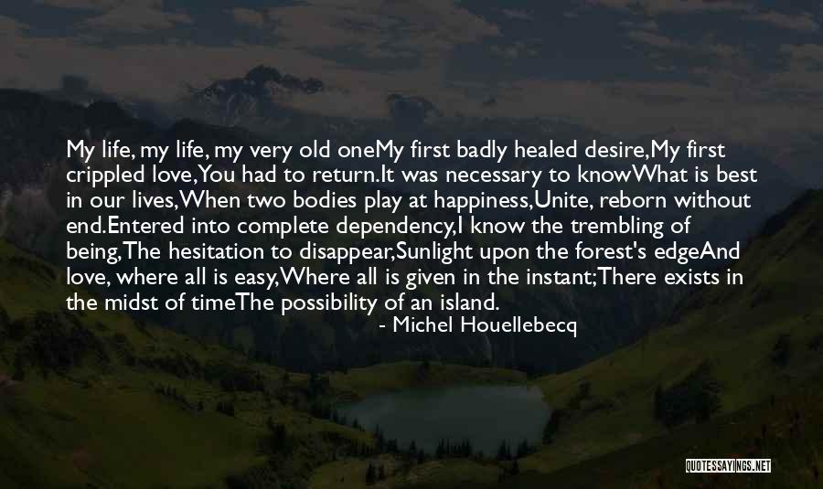 Love Is Necessary Quotes By Michel Houellebecq Love Is Necessary Quotes By Michel Houellebecq