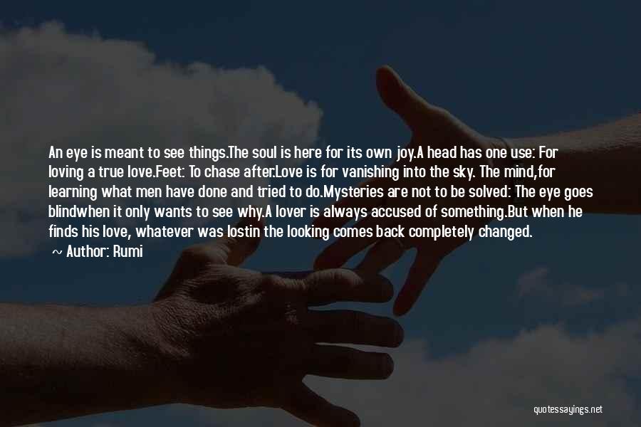Love Is Not Blind Quotes By Rumi