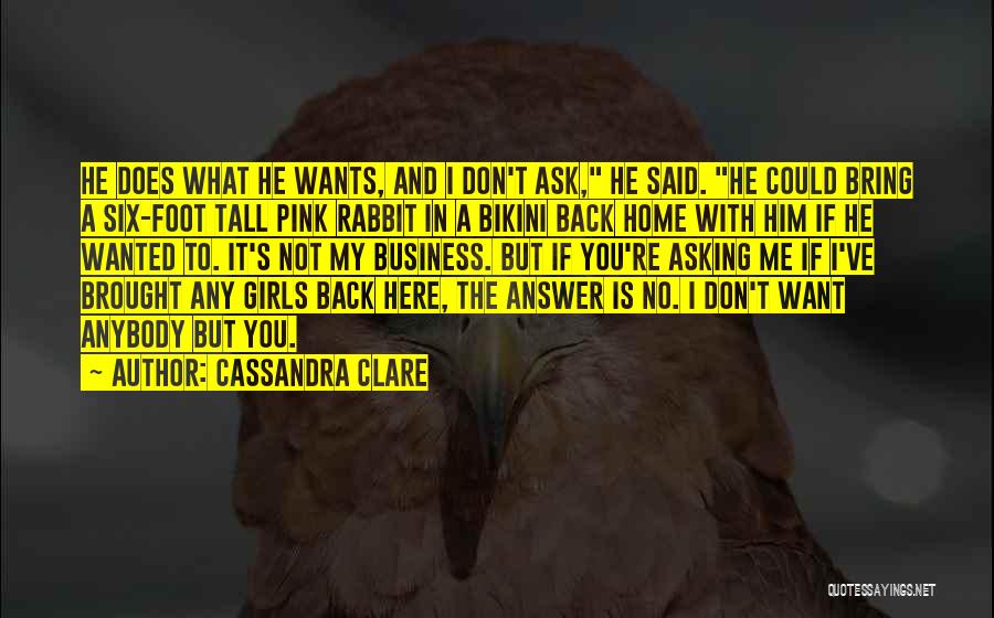 Love Is Not Business Quotes By Cassandra Clare