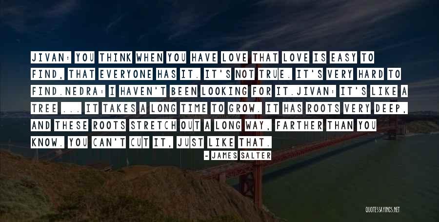 Love Is Not Easy To Find Quotes By James Salter Love Is Not Easy To Find Quotes By James Salter