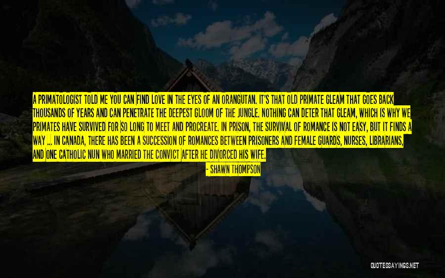 Love Is Not Easy To Find Quotes By Shawn Thompson Love Is Not Easy To Find Quotes By Shawn Thompson
