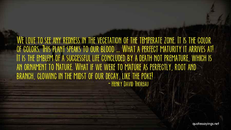 Love Is Not Perfect Quotes By Henry David Thoreau Love Is Not Perfect Quotes By Henry David Thoreau