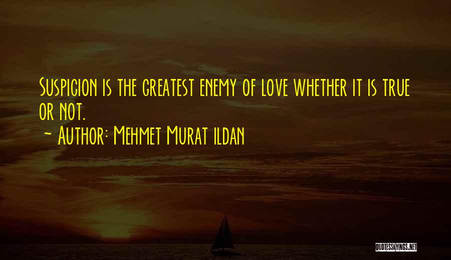 Love Is Not True Quotes By Mehmet Murat Ildan