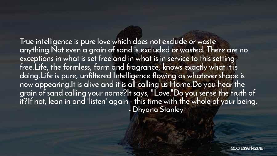 Love Is Not Waste Of Time Quotes By Dhyana Stanley