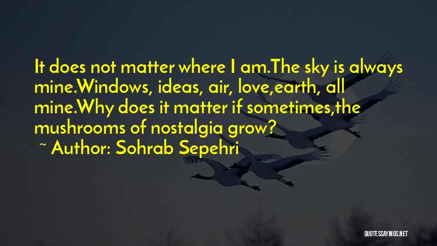 Love Is The Air Quotes By Sohrab Sepehri