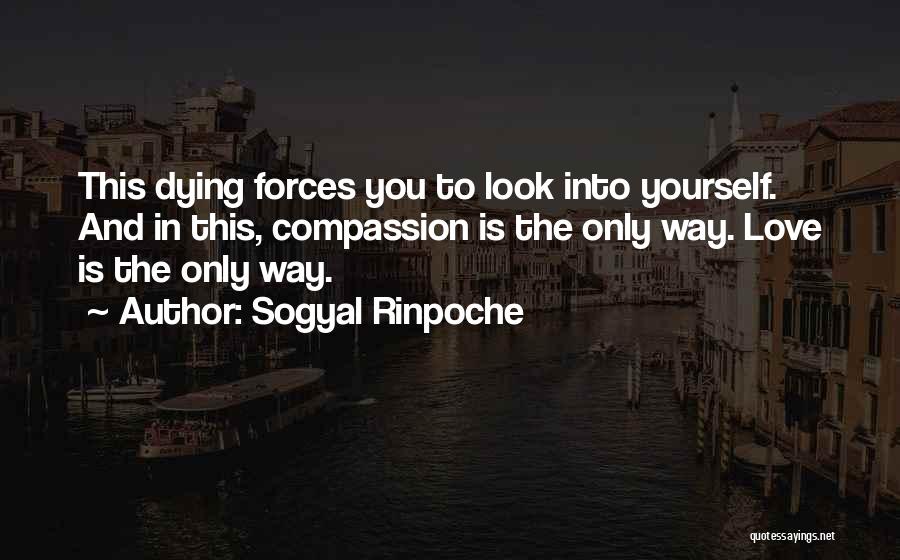 Love Is The Only Way Quotes By Sogyal Rinpoche