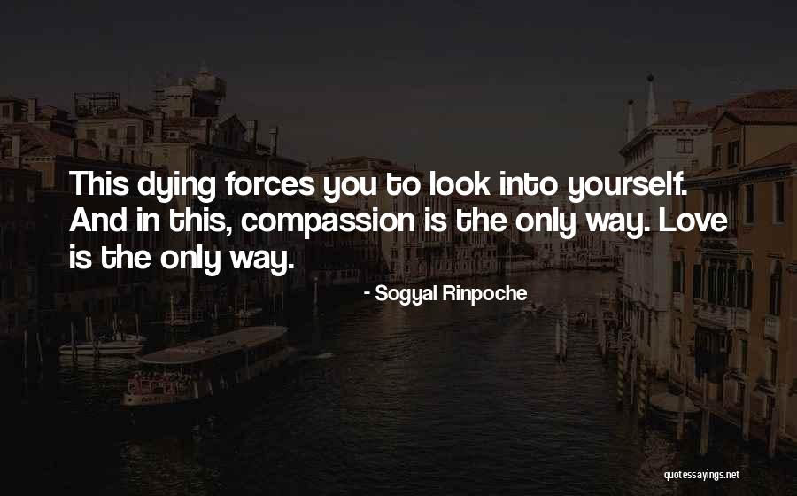 Love Is The Only Way Quotes By Sogyal Rinpoche Love Is The Only Way Quotes By Sogyal Rinpoche