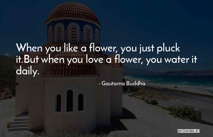 Love Just Quotes By Gautama Buddha Love Just Quotes By Gautama Buddha