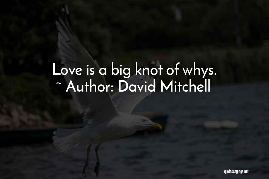 Love Knot Quotes By David Mitchell