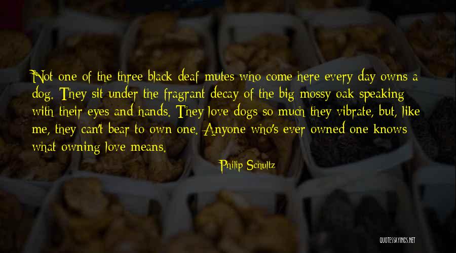 Love Knows Quotes By Philip Schultz