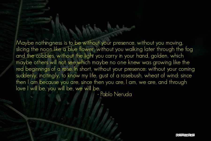 Love Later In Life Quotes By Pablo Neruda