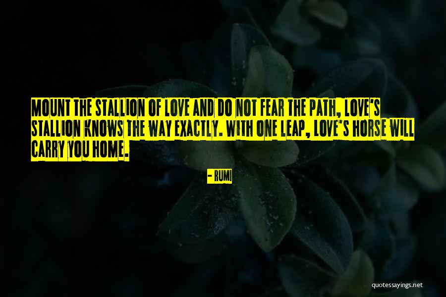 Love Leap Quotes By Rumi