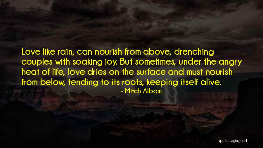 Love Lessons Quotes By Mitch Albom