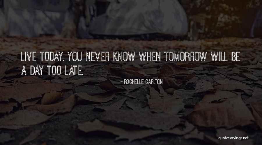 Love Lessons Quotes By Rochelle Carlton Love Lessons Quotes By Rochelle Carlton