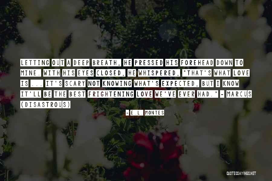 Love Letting You Down Quotes By E.L. Montes Love Letting You Down Quotes By E.L. Montes