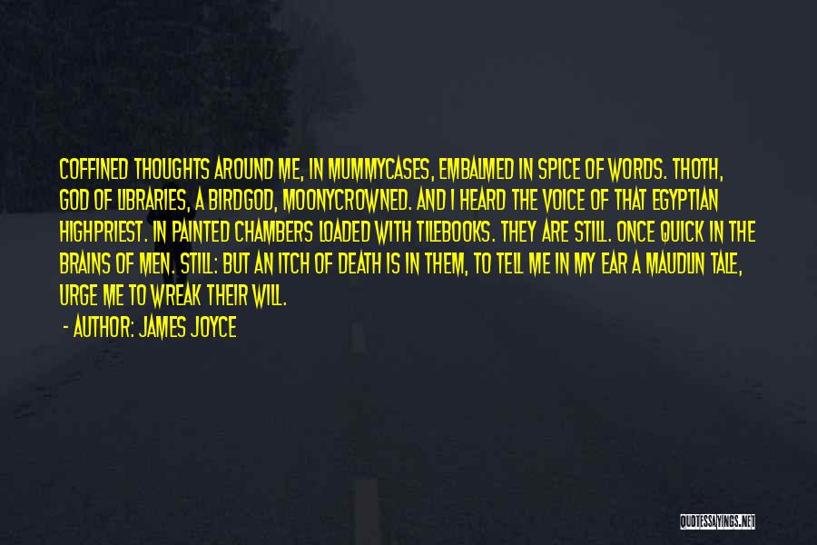 Love Libraries Quotes By James Joyce