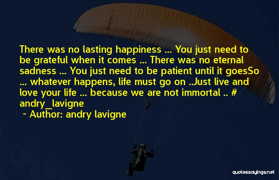 Love Life Goes On Quotes By Andry Lavigne