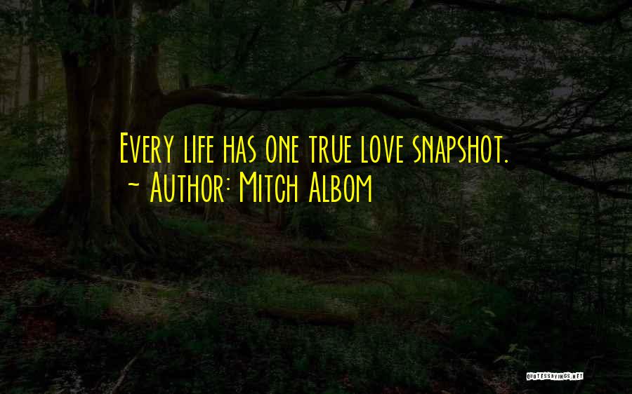 Love Life Life Quotes By Mitch Albom