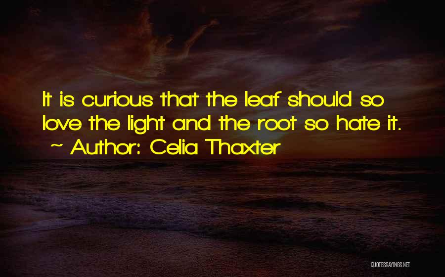 Love Light Quotes By Celia Thaxter