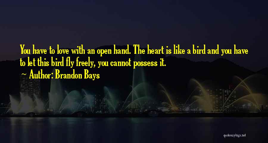 Love Like Bird Quotes By Brandon Bays